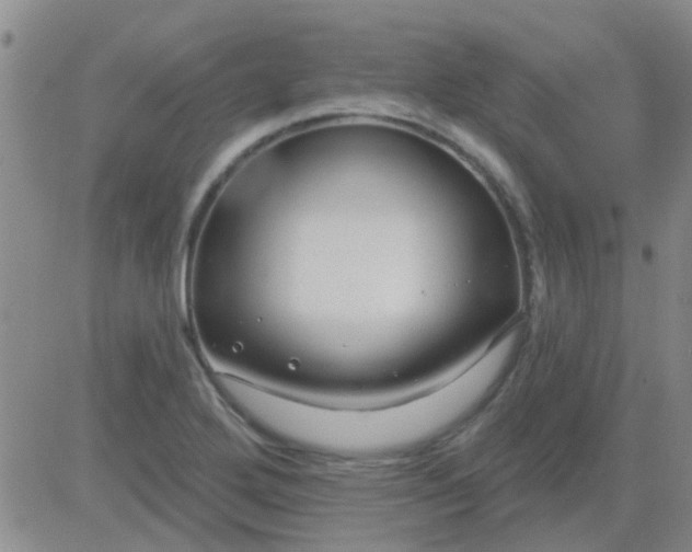 X0000083991272200703021930