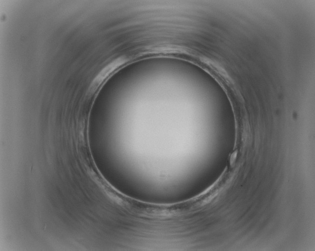 X0000083991273200703021930