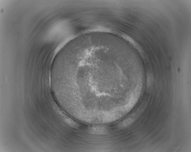 X0000083991274200703021930