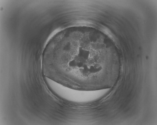 X0000083991275200703021930