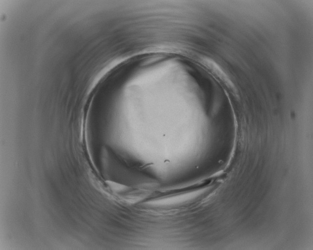 X0000083991276200703021930