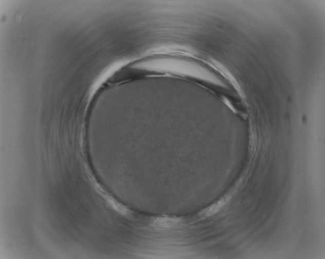 X0000083991277200703021930