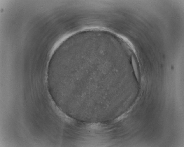 X0000083991279200703021930