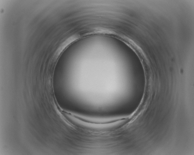 X0000083991281200703021930