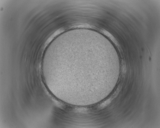 X0000083991282200703021930