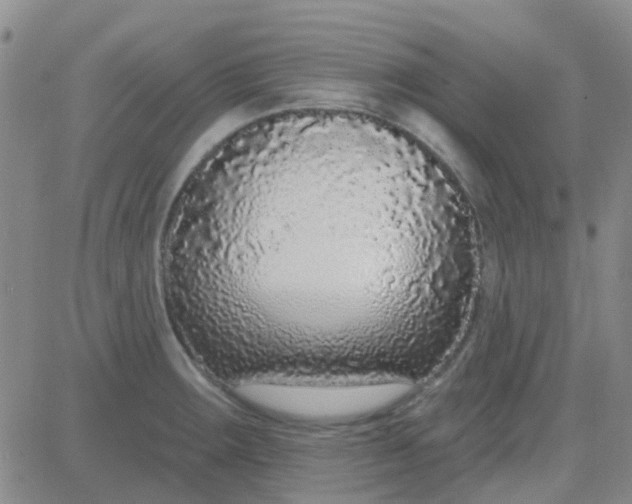 X0000083991283200703021929