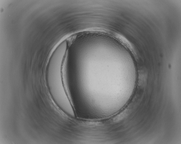 X0000083991284200703021929