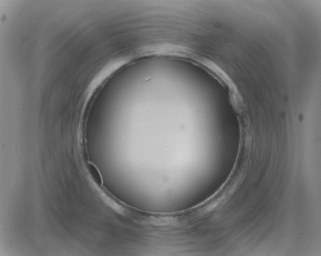 X0000083991285200703021929