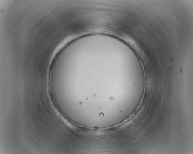 X0000083991286200703021929