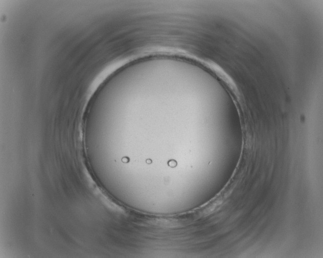 X0000083991287200703021929