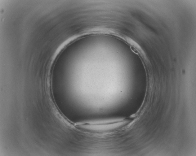 X0000083991288200703021929