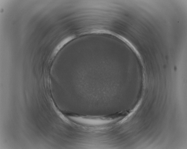 X0000083991289200703021929