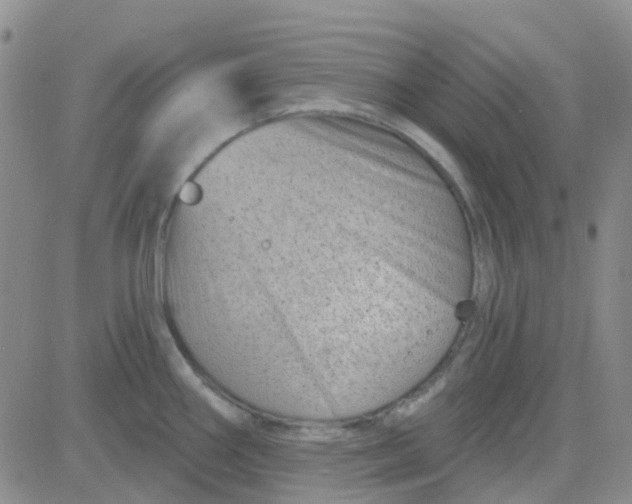 X0000083991290200703021929