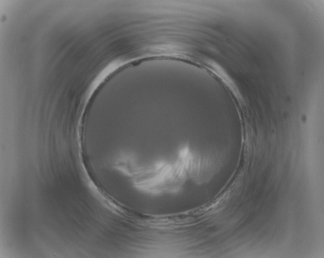 X0000083991291200703021929