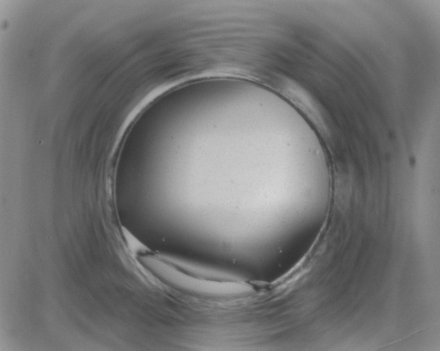 X0000083991292200703021929