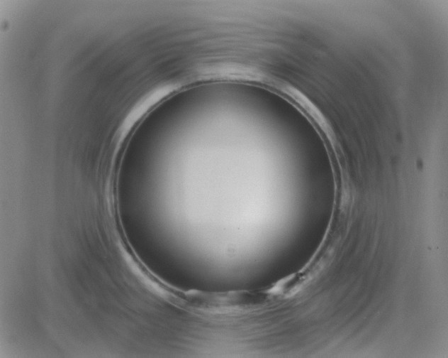 X0000083991293200703021929