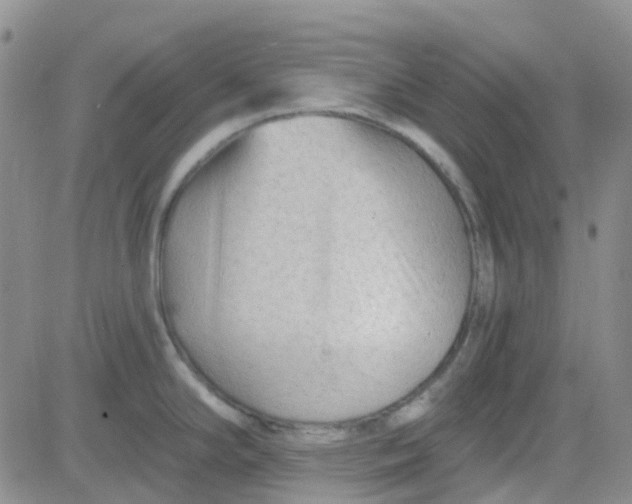 X0000083991294200703021929