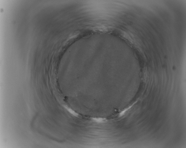 X0000083991297200703021928