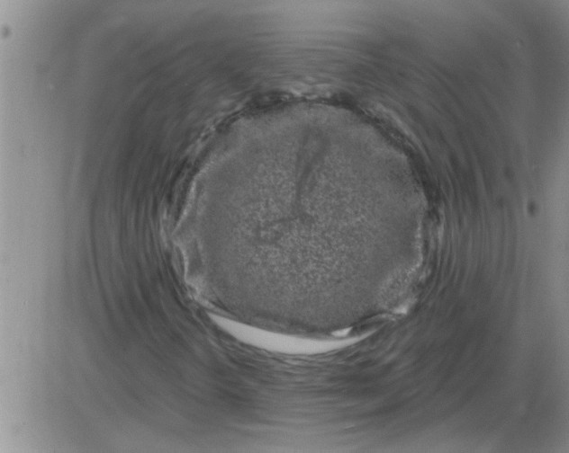 X0000083991298200703021928