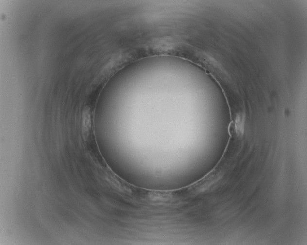 X0000083991299200703021928