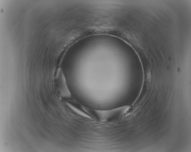 X0000083991300200703021928