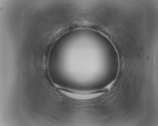 X0000083991301200703021928