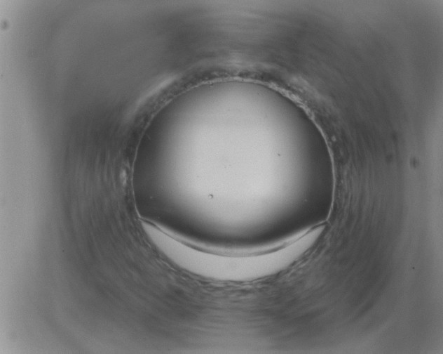 X0000083991302200703021928