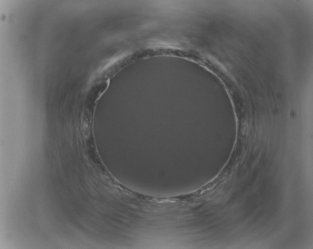 X0000083991303200703021928