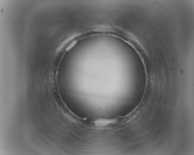 X0000083991304200703021929