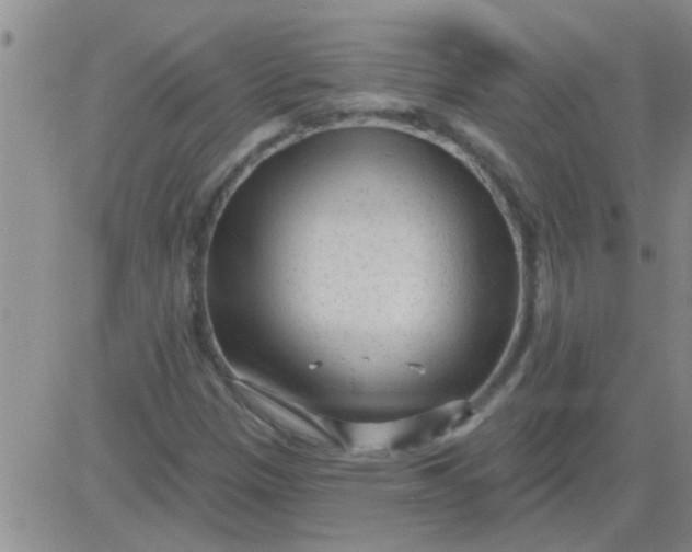 X0000083991305200703021929