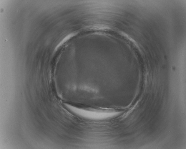 X0000083991306200703021929