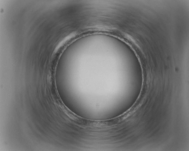 X0000083991307200703021929