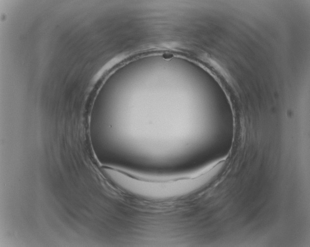 X0000083991308200703021929