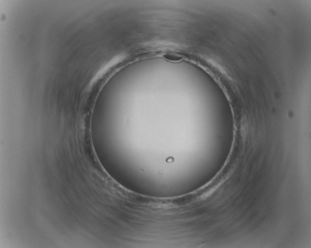 X0000083991309200703021929