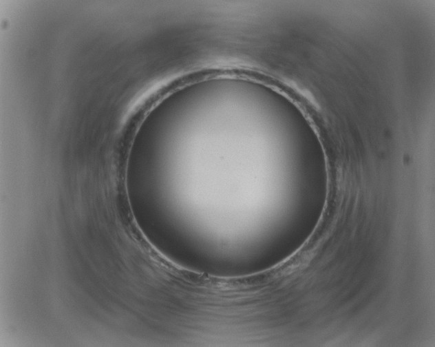 X0000083991311200703021929