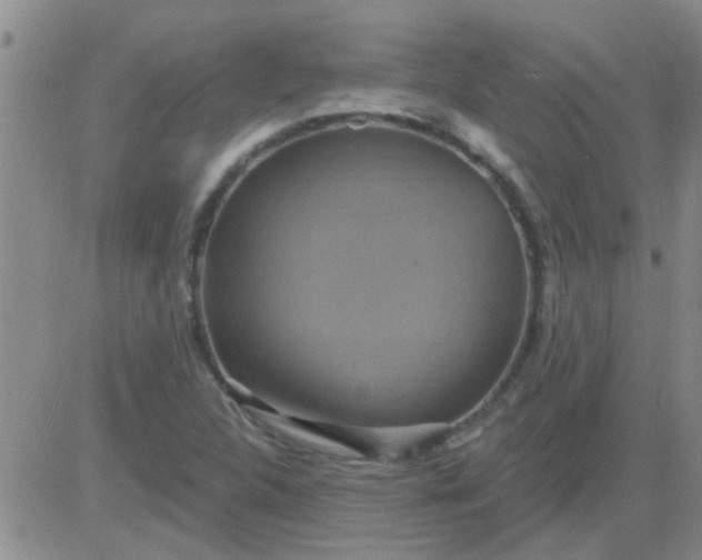 X0000083991312200703021929