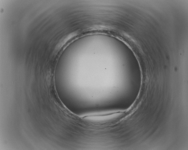 X0000083991313200703021929