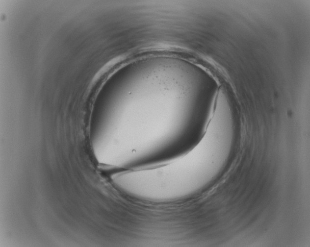 X0000083991314200703021929