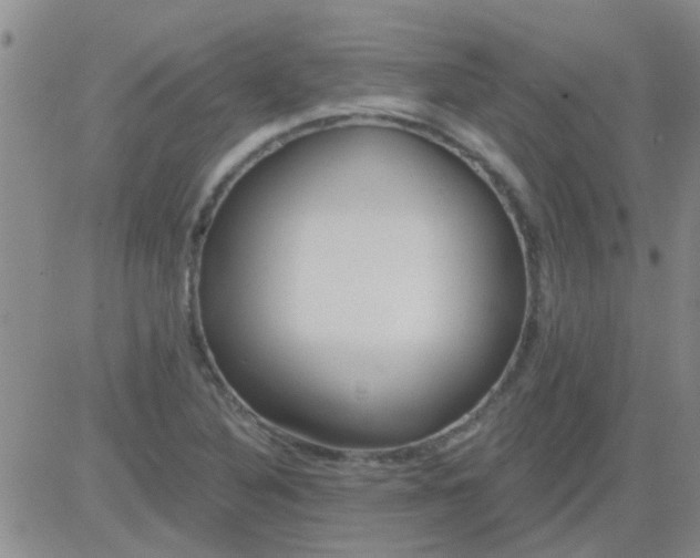 X0000083991316200703021929