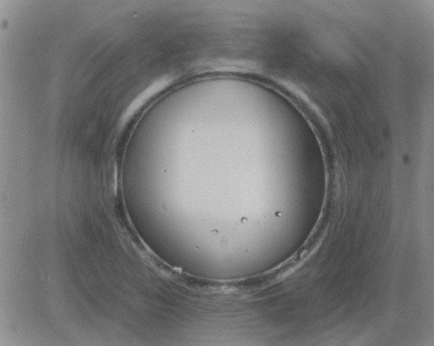 X0000083991317200703021929