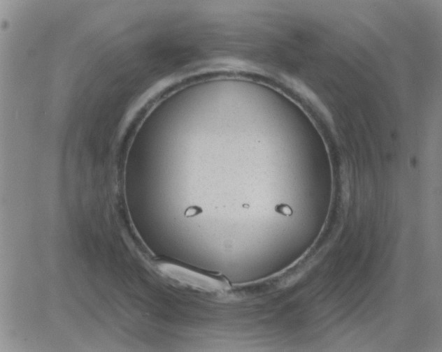 X0000083991318200703021929