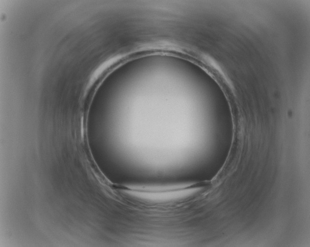 X0000083991320200703021929