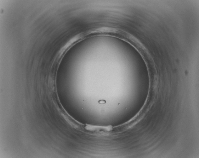 X0000083991321200703021929