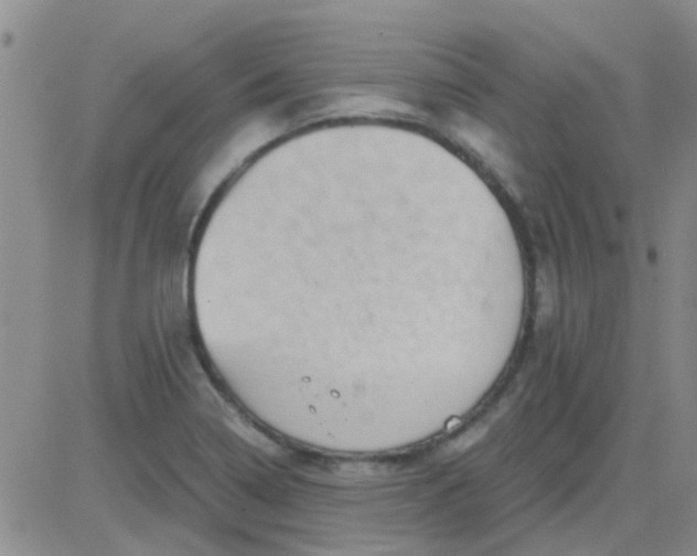 X0000083991322200703021929