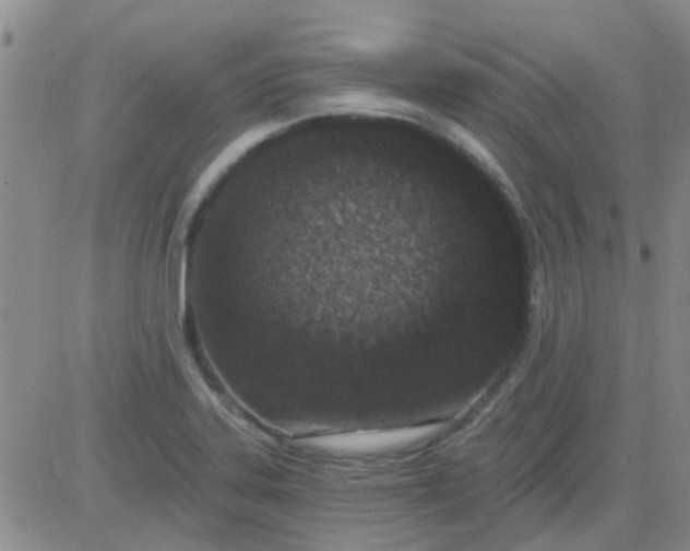 X0000083991323200703021929