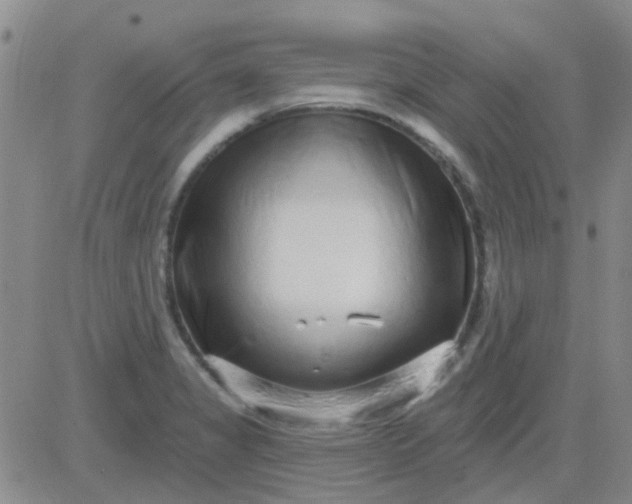 X0000083991325200703021929