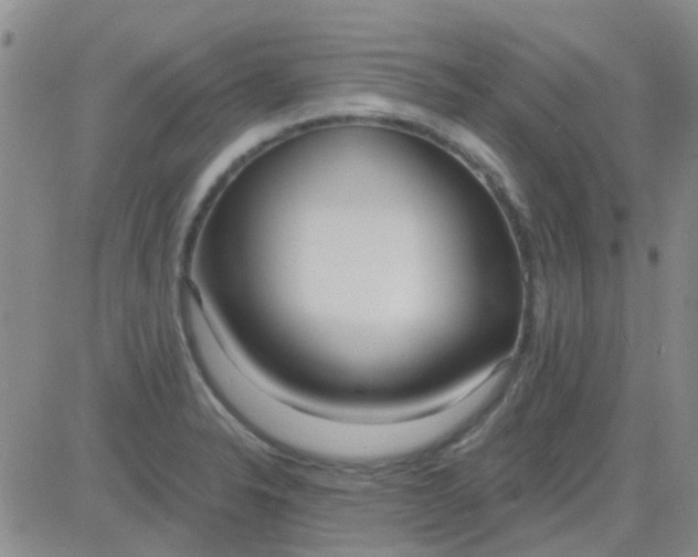 X0000083991326200703021929