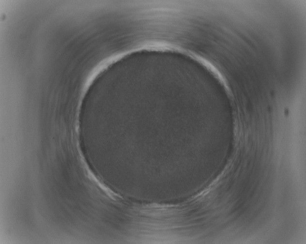 X0000083991327200703021929