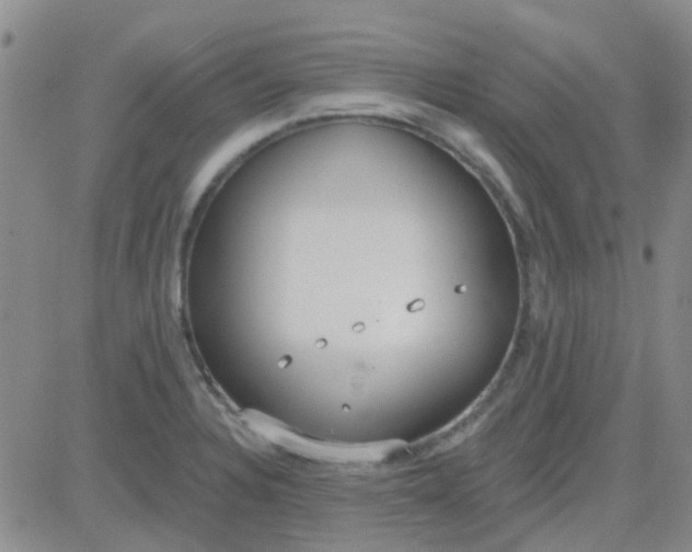 X0000083991328200703021929