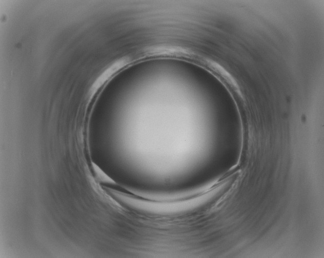 X0000083991330200703021929